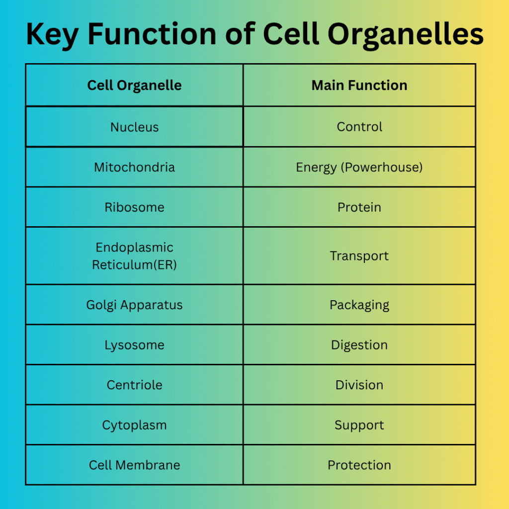 Cell Organelles table for nursing students