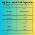 Cell Organelles table for nursing students