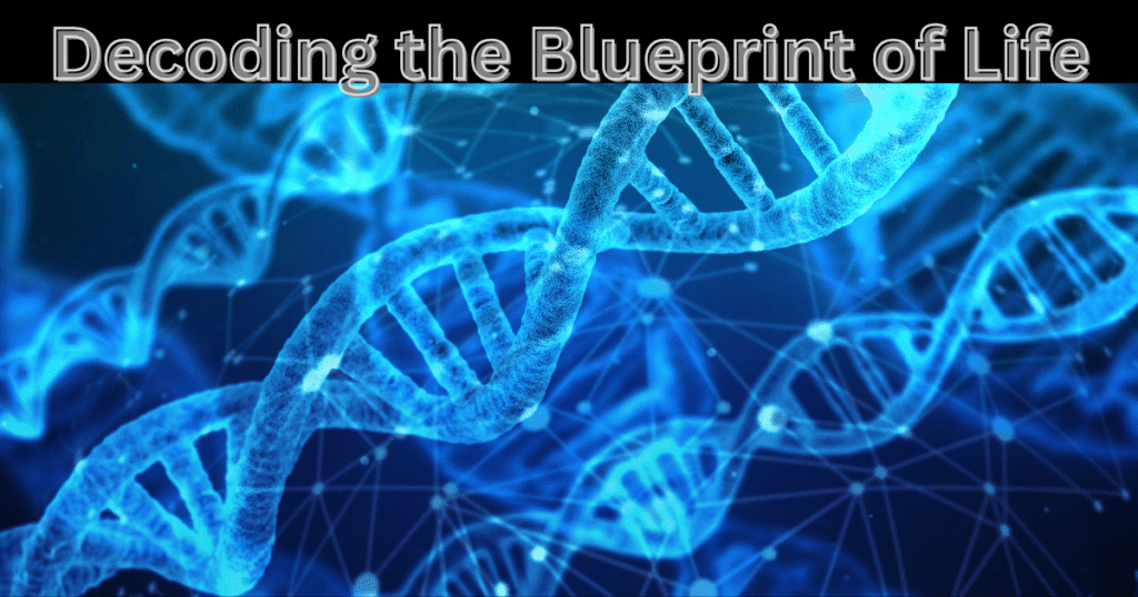Nucleic Acid Structure and Function DNA vs RNA